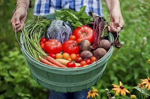 六大農(nóng)產(chǎn)品安全謠言揭秘，你誤信了么？