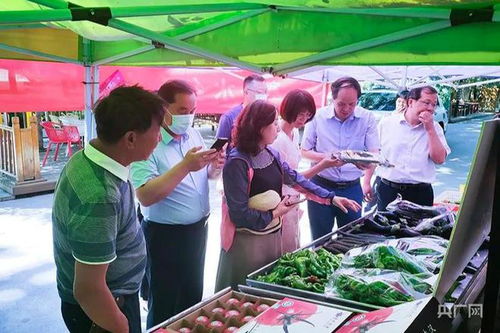 農(nóng)業(yè)農(nóng)村部調(diào)研組赴高新區(qū)新市區(qū)調(diào)研農(nóng)產(chǎn)品質(zhì)量安全工作