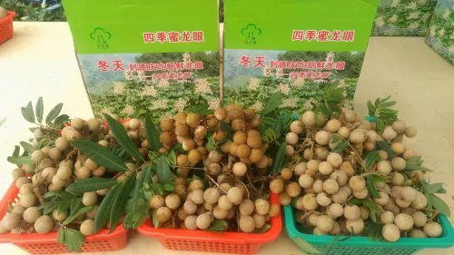 肇慶被確定為國(guó)家農(nóng)產(chǎn)品質(zhì)量安全市創(chuàng)建單位，躍居全省第三